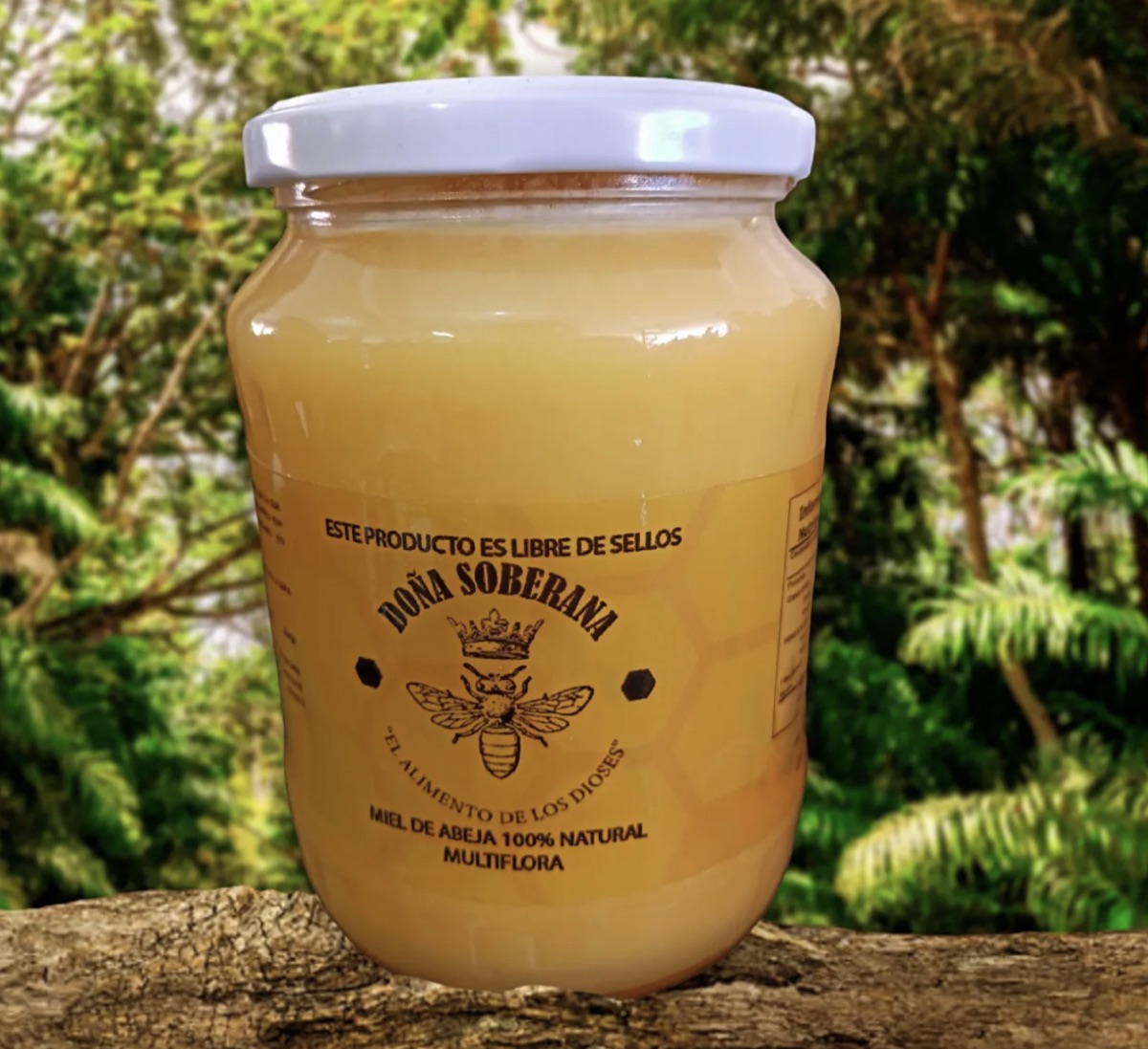 Miel de abeja 1 litro